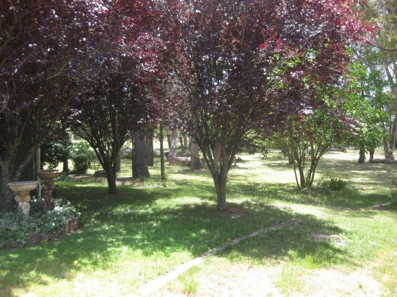 3 Lees Mountain Road, Stanthorpe QLD 4380