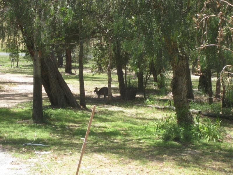 3 Lees Mountain Road, Stanthorpe QLD 4380