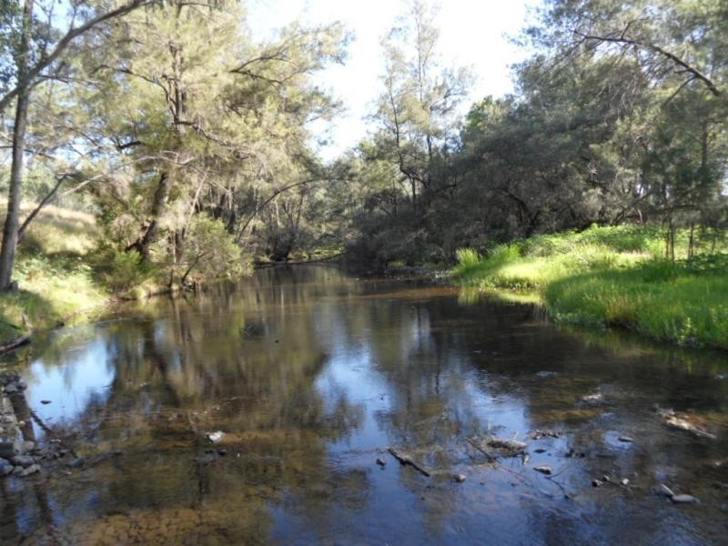 1786 Glen Lyon Dam Road, Mingoola QLD 4380