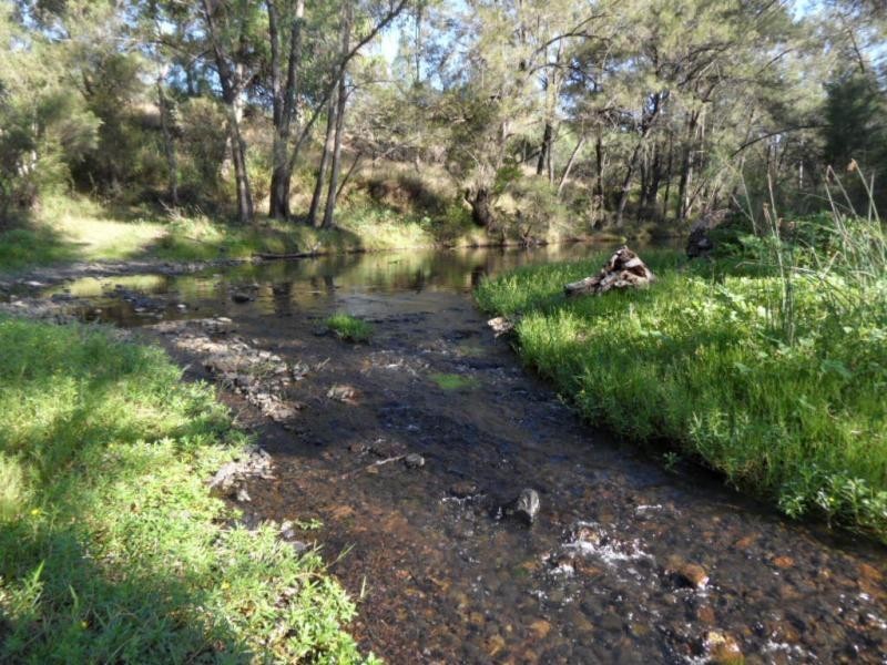 1786 Glen Lyon Dam Road, Mingoola QLD 4380