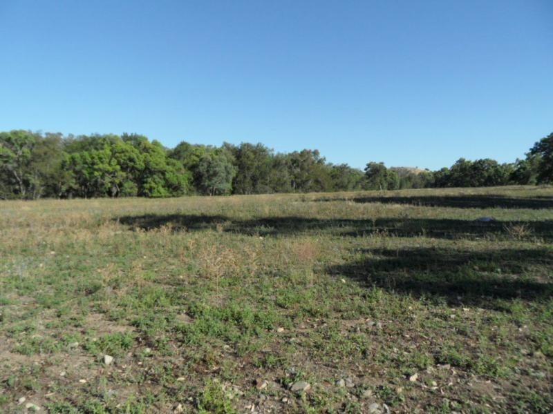 1786 Glen Lyon Dam Road, Mingoola QLD 4380