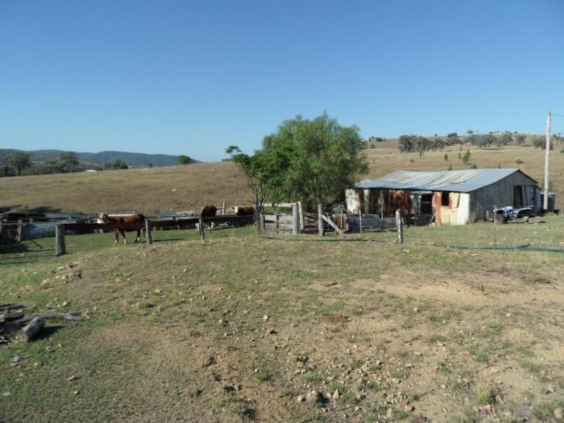 1786 Glen Lyon Dam Road, Mingoola QLD 4380