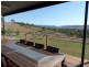 1786 Glen Lyon Dam Road, Mingoola QLD 4380