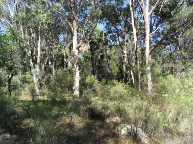 894 Amiens Road, Amiens, Amiens QLD 4380