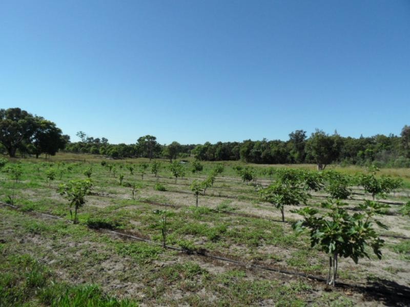 894 Amiens Road, Amiens, Amiens QLD 4380