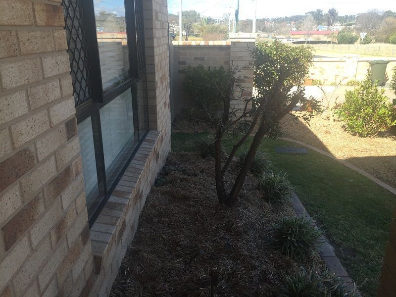 Stanthorpe QLD 4380