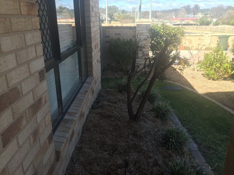 Stanthorpe QLD 4380