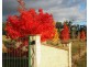 766 Amiens Road, Stanthorpe QLD 4380