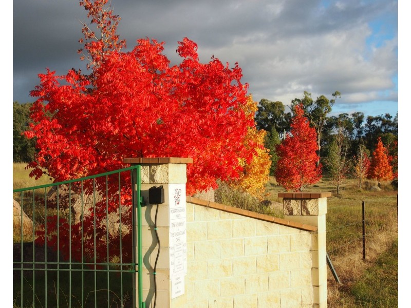 766 Amiens Road, Stanthorpe QLD 4380
