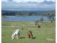 766 Amiens Road, Stanthorpe QLD 4380