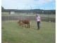 766 Amiens Road, Stanthorpe QLD 4380