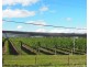 766 Amiens Road, Stanthorpe QLD 4380