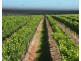 766 Amiens Road, Stanthorpe QLD 4380