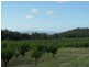 206 Nicholson Road, Thorndale QLD 4380
