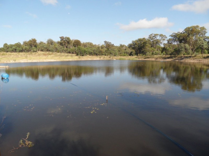 206 Nicholson Road, Thorndale QLD 4380