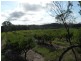 206 Nicholson Road, Thorndale QLD 4380