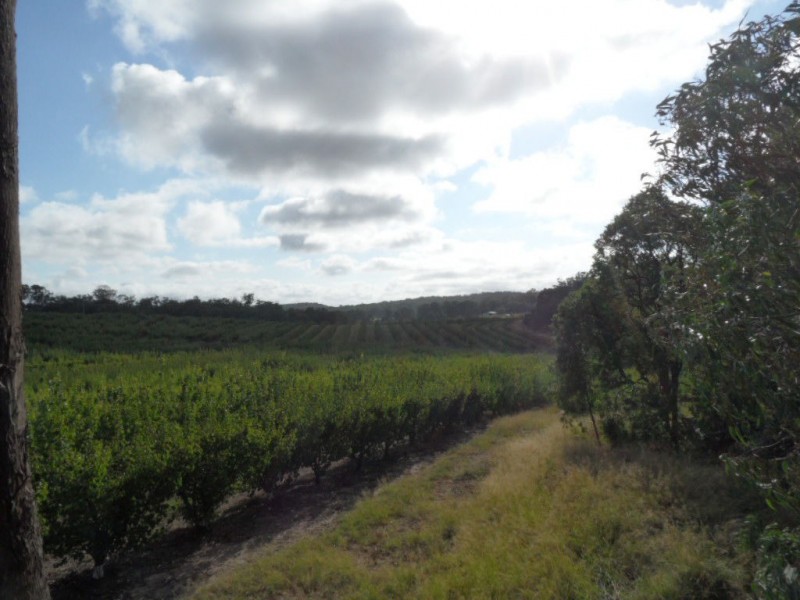 206 Nicholson Road, Thorndale QLD 4380