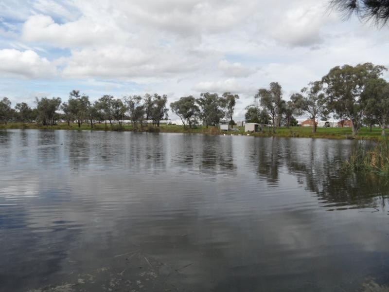 46 Border Road, Applethorpe, Applethorpe QLD 4378