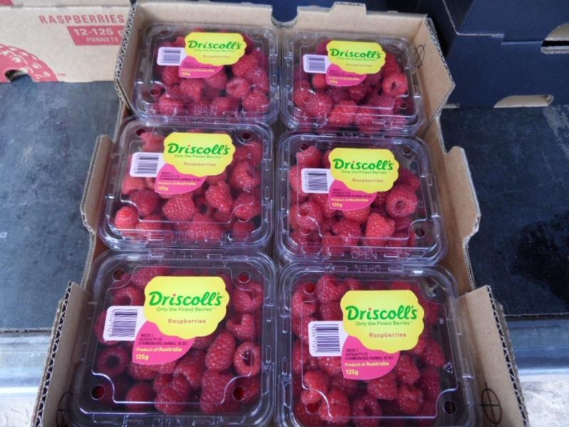 46 Border Road, Applethorpe, Applethorpe QLD 4378