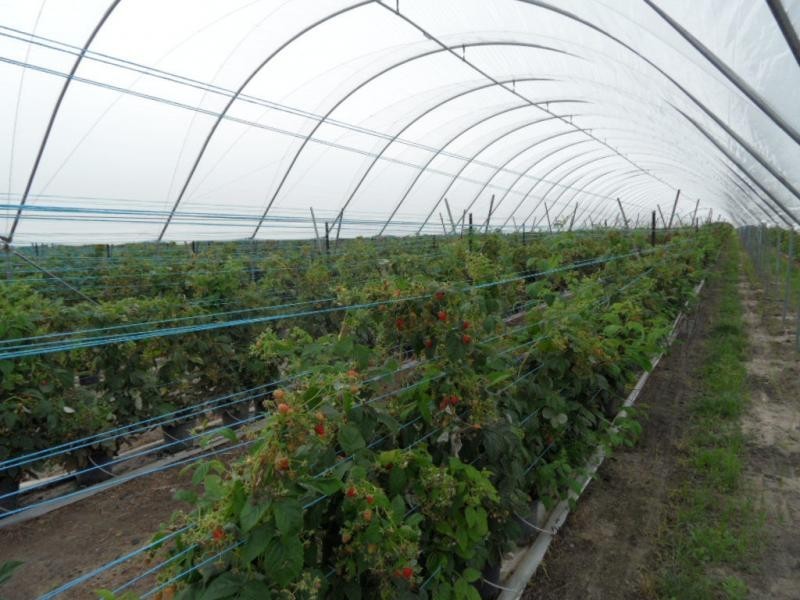 46 Border Road, Applethorpe, Applethorpe QLD 4378