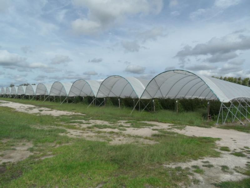 46 Border Road, Applethorpe, Applethorpe QLD 4378