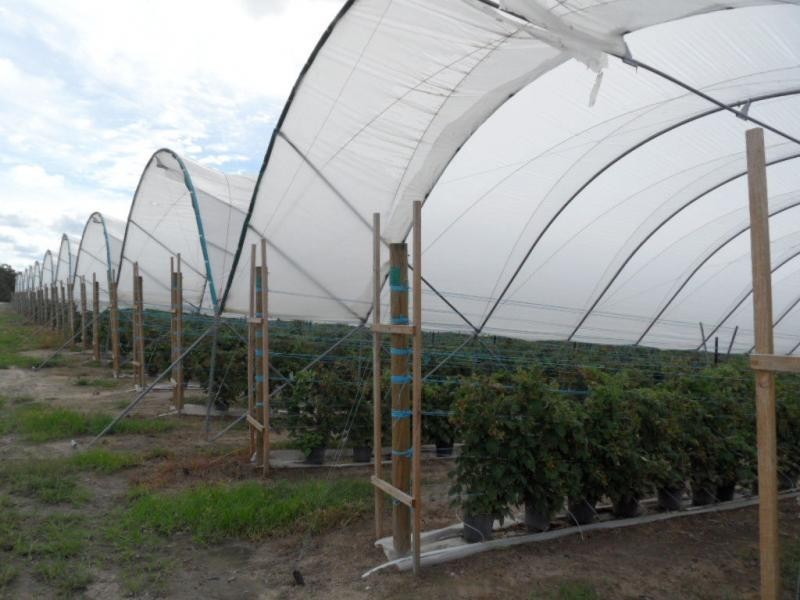 46 Border Road, Applethorpe, Applethorpe QLD 4378