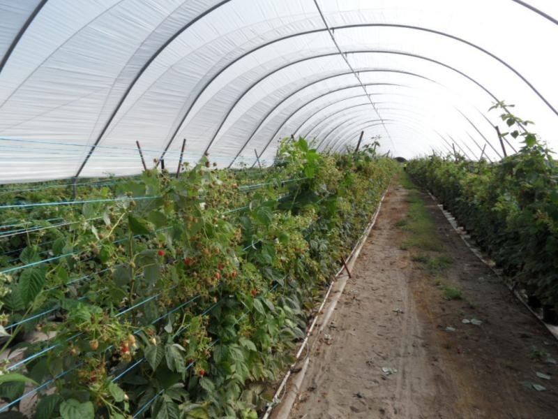 46 Border Road, Applethorpe, Applethorpe QLD 4378