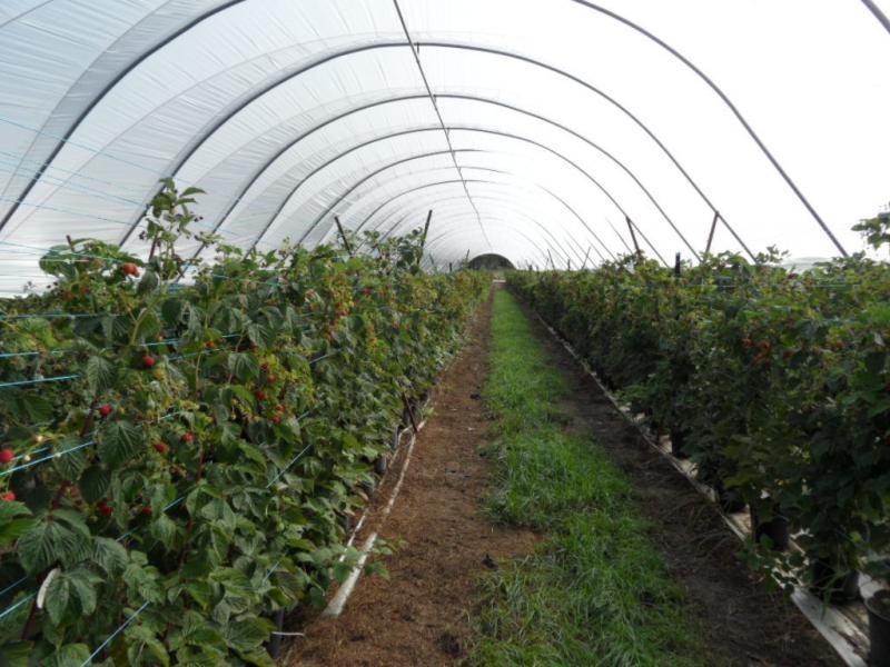 46 Border Road, Applethorpe, Applethorpe QLD 4378