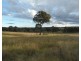 Lot 1 Cameron Road, Dalveen QLD 4374