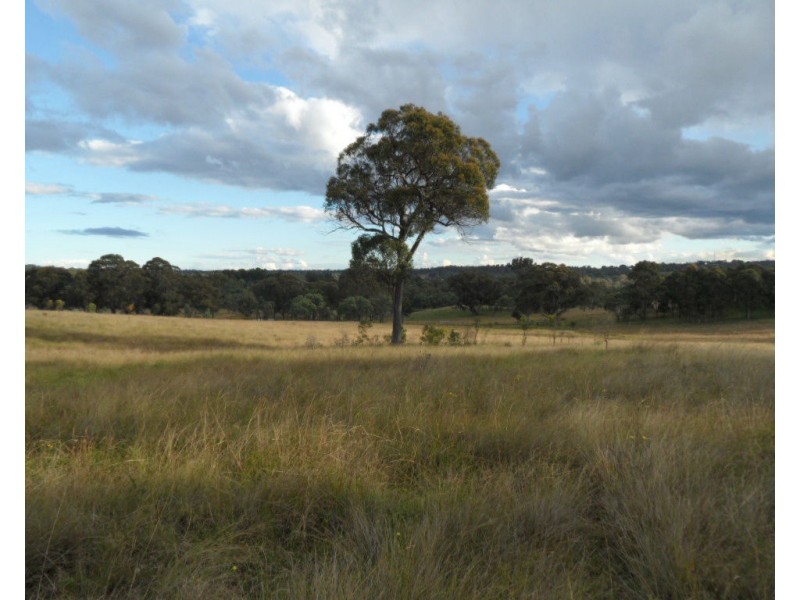 Lot 1 Cameron Road, Dalveen QLD 4374