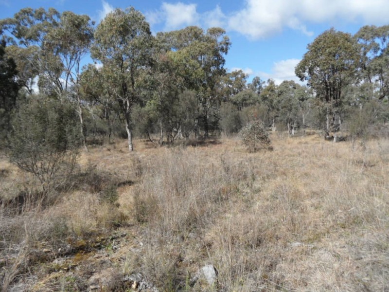 Lot 27 Donges Road, Severnlea QLD 4380