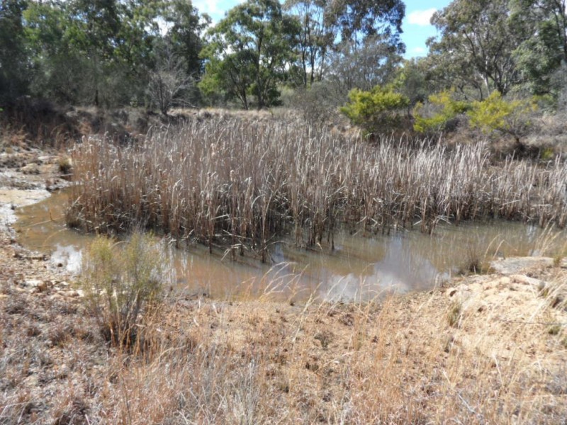 Lot 27 Donges Road, Severnlea QLD 4380