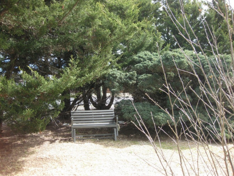 17 Wallangarra Road, Stanthorpe QLD 4380