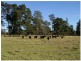 680 Mt Tully Road, Stanthorpe, Stanthorpe QLD 4380