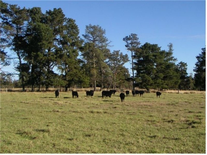 680 Mt Tully Road, Stanthorpe, Stanthorpe QLD 4380