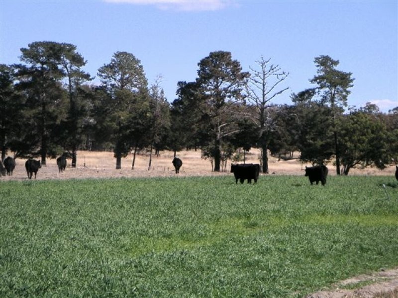 680 Mt Tully Road, Stanthorpe, Stanthorpe QLD 4380