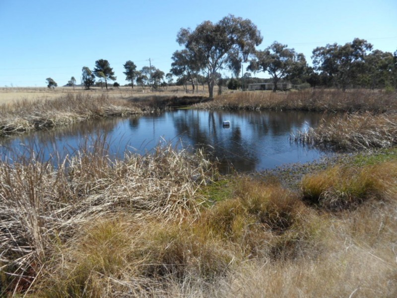 27391 New England Hwy, Glen Aplin QLD 4381