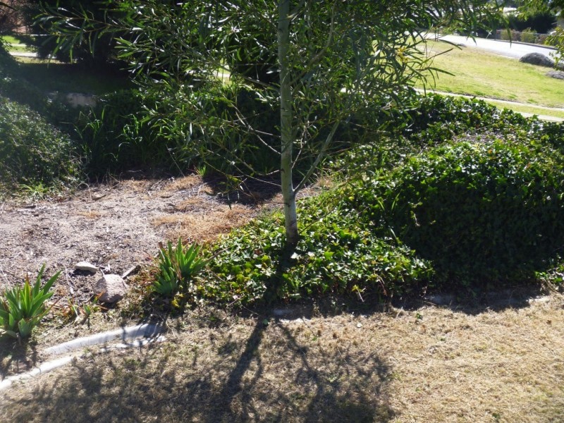 44 Denham St, Stanthorpe QLD 4380