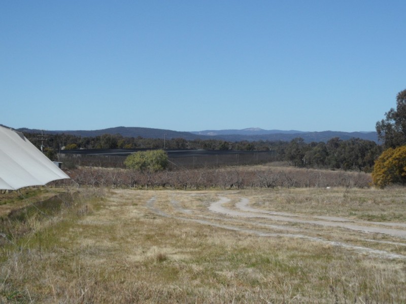 117 Rogers Rd, Applethorpe QLD 4378
