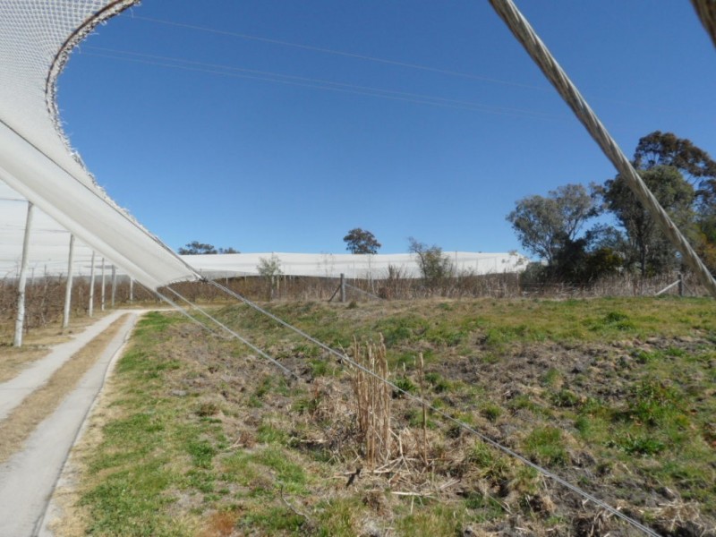 117 Rogers Rd, Applethorpe QLD 4378