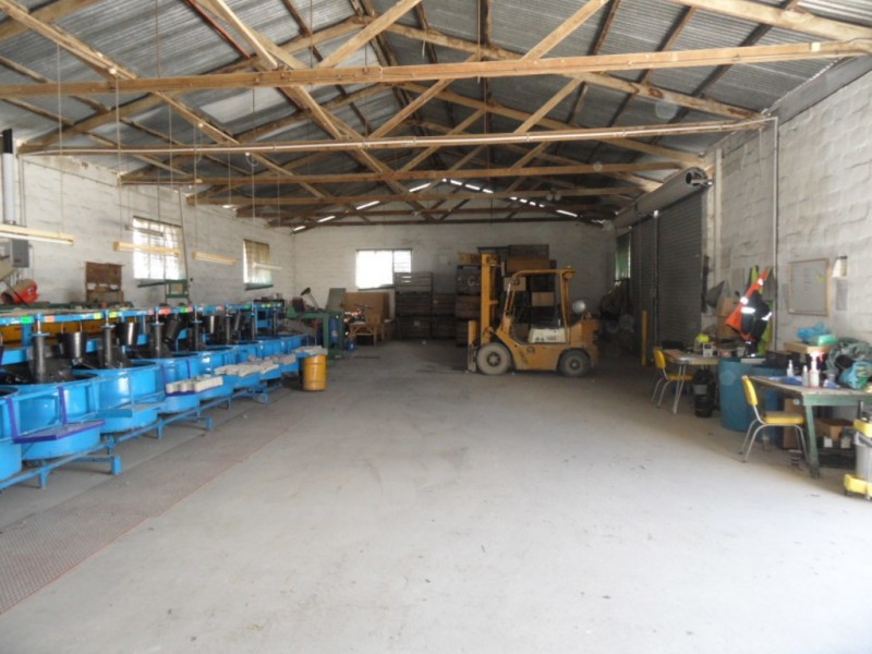 117 Rogers Rd, Applethorpe QLD 4378