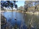 117 Rogers Rd, Applethorpe QLD 4378
