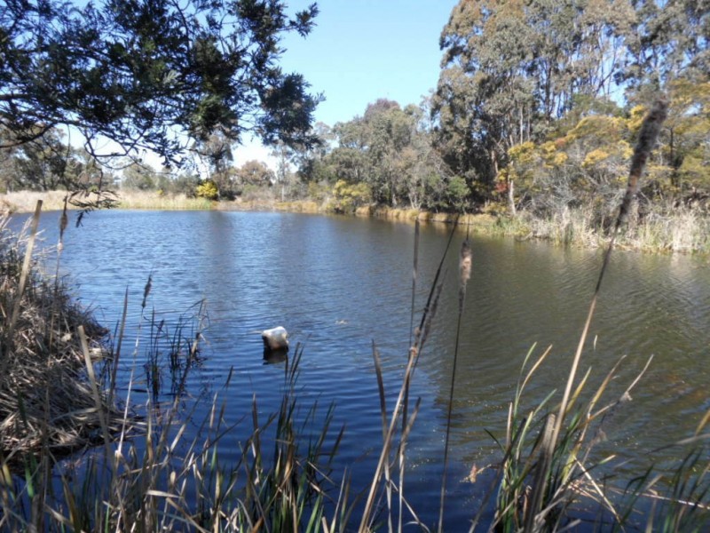 117 Rogers Rd, Applethorpe QLD 4378