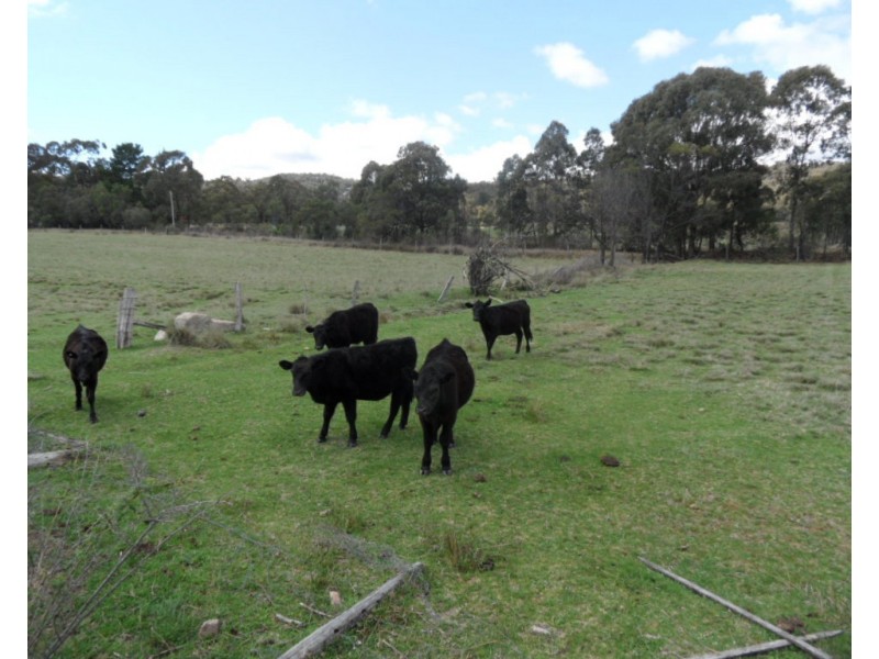 1679 Eukey Rd, Eukey QLD 4380