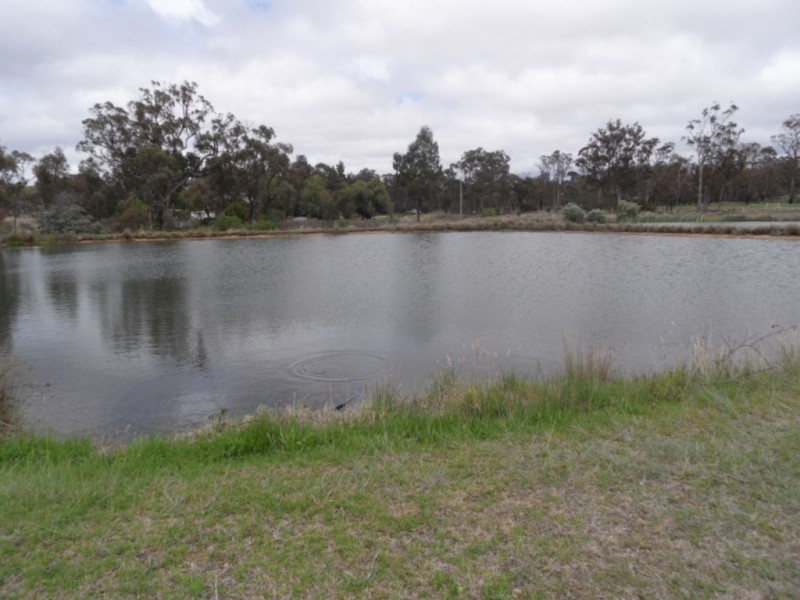 10 Bau Ct, Applethorpe QLD 4378