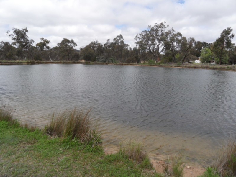 10 Bau Ct, Applethorpe QLD 4378
