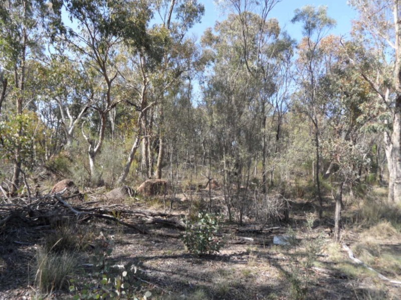 Lot 34 Newman Lane, Glen Aplin QLD 4381