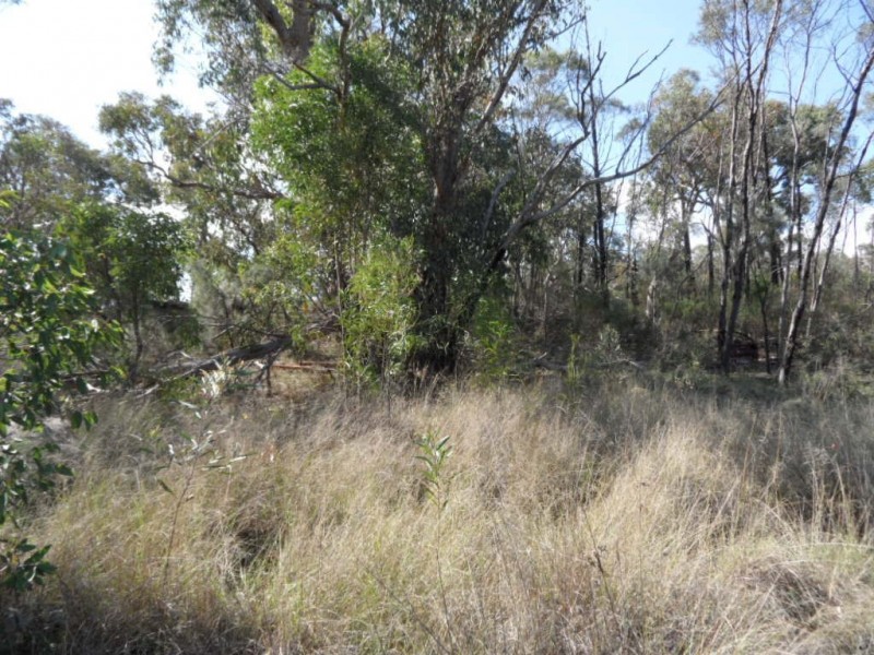 Lot 34 Newman Lane, Glen Aplin QLD 4381