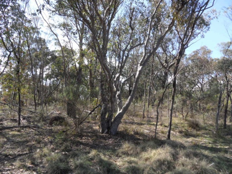 Lot 34 Newman Lane, Glen Aplin QLD 4381