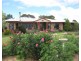 541 Dalcouth Rd, Dalcouth QLD 4380